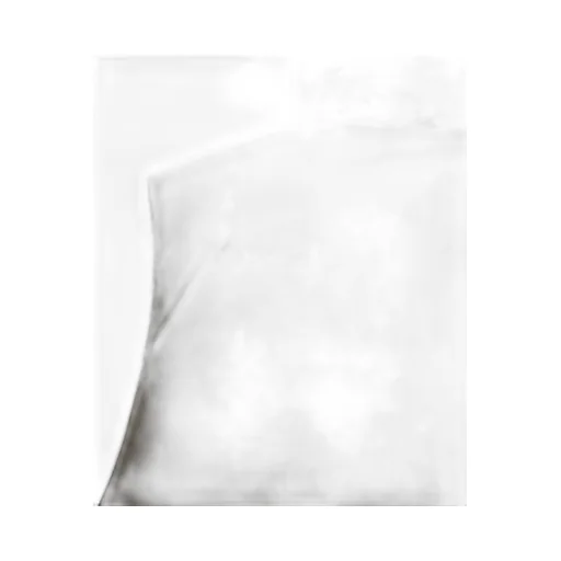 Windstopper Field Down Vest