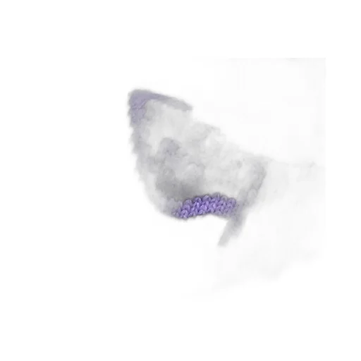 Bird Word Toque