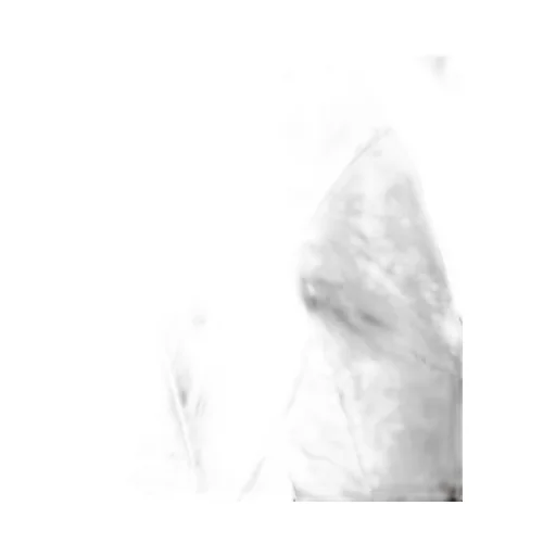 Finx Cotton Gaberdine Blouson Jacket