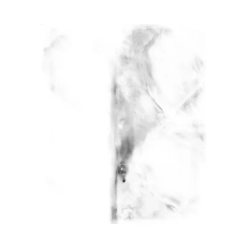 Liner Down Coat