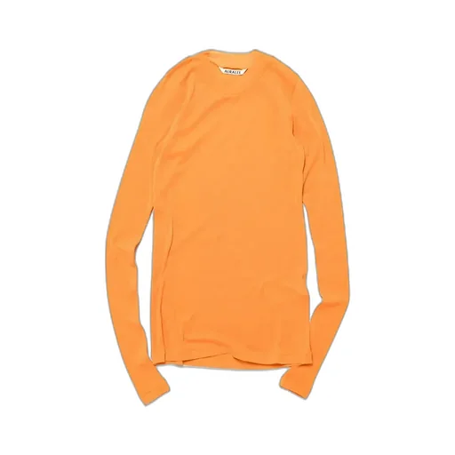 Super High Gauge Sheer Rib L/S Tee