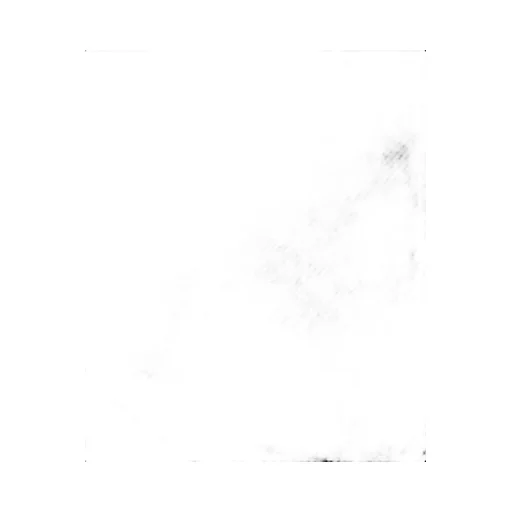 Duct Tape T-Shirts - White Label