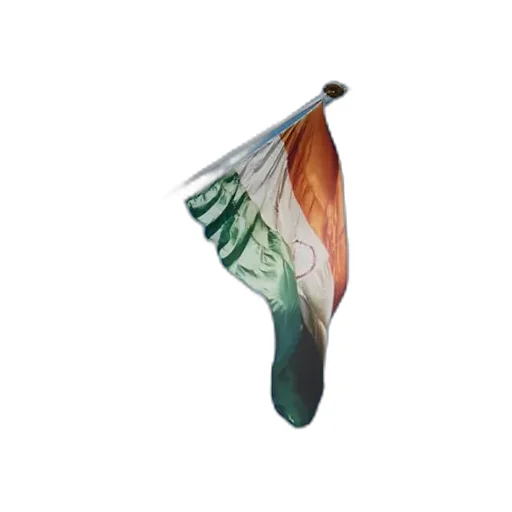 Archive Book