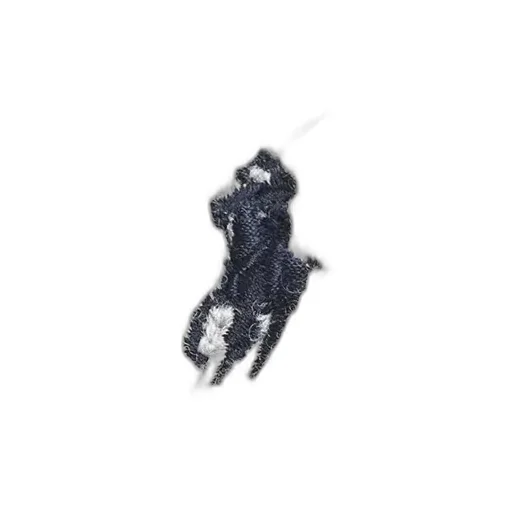 Signature Pony Knit Touch Gloves