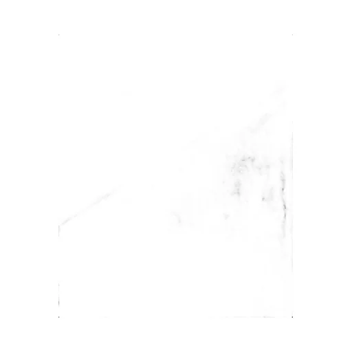 Paratrooper Shirt Pigment