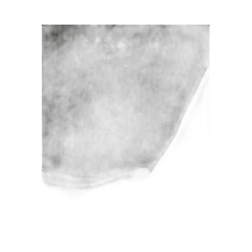 Baseball T-Shirt - Pigment