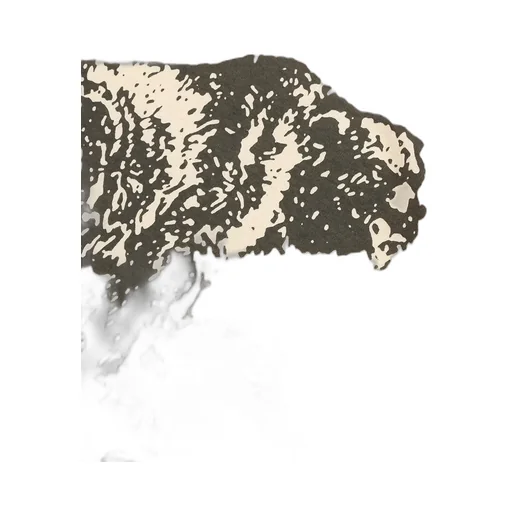 Frontier Graphic T-Shirt
