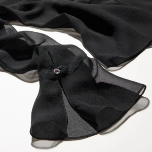 Light Silk Georgette Shirt