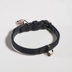 Extra-Small Pet Collar