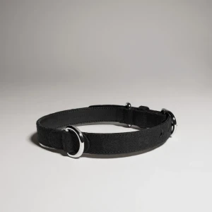 Small/Medium Pet Collar