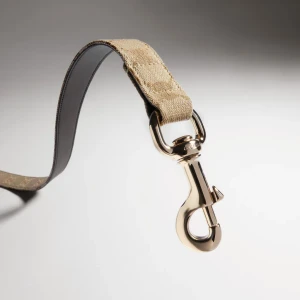 Large Pet Leash