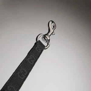 Small/Medium Pet Leash