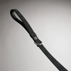 Small/Medium Pet Leash