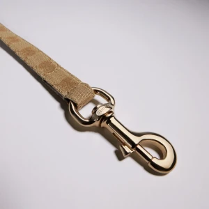 Small/Medium Pet Leash