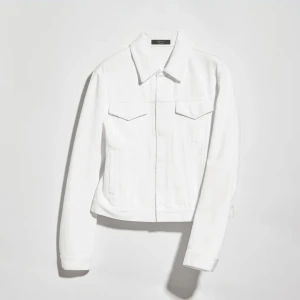 Knit Cotton T-Shirt With Web Intarsia