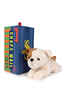 The American Bulldog In Giftbox