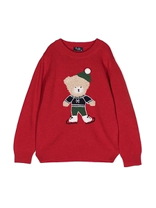 Teddy Bear Crew Neck Pullover