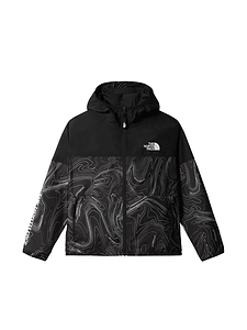 The North Face Hoodie Windwall