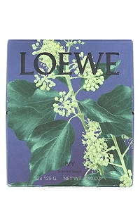 Loewe Ivy Scented Soaps