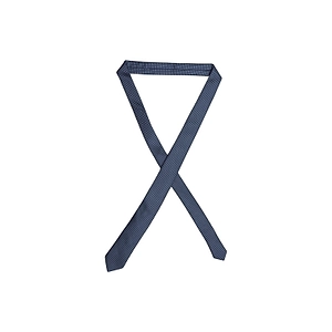 Roberto Clerici Ties