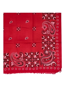 Mani Puri Mani Puri Bandana Print Foulard