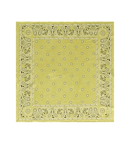 Max Mara Weekend Pentola Green Foulard Scarf