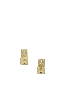 Chloé Earrings Mini Paddington