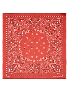 Alanui Printed Cotton Bandana Red/Multicolor