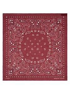 Alanui Printed Cotton Bandana Vermouth/Multicol