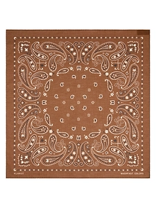 Alanui Printed Cotton Bandana Tabacco/Multicolo