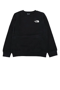 The North Face Kids Evolution Box Logo Sweatshirt