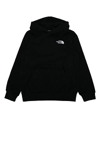 The North Face Kids Evolution Box Pullover Hoodie