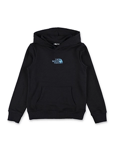 The North Face Kids Liquid Logo Hoodie