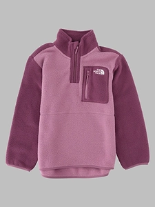 The North Face Kids Yumiori 1/4 Zip Sweatshirt