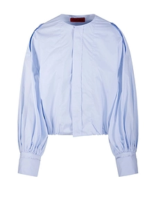 The Latest Diana Pleated Sleeve Blouse