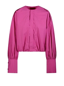 The Latest Diana Pleated Sleeve Blouse