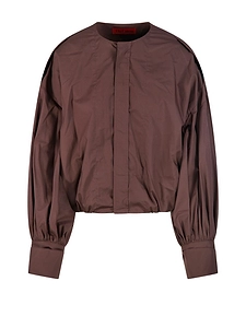 The Latest Diana Pleated Sleeve Top
