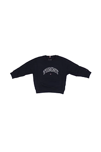 Tommy Hilfiger Junior Varsity Logo Print Crew Neck Sweatshirt
