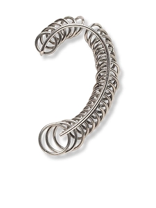 Panconesi All Around Ring Detail Earrings