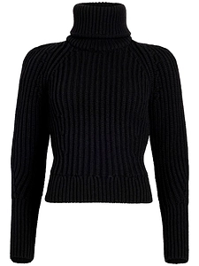 Patou Turtleneck Knit Sweater