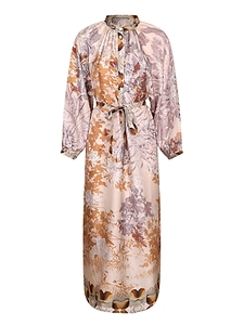 Pierre-Louis Mascia Aloe Printed Maxi Dress