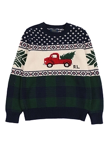 Polo Ralph Lauren Kids Truck-Intarsia Jumper