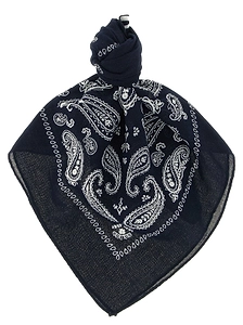 Polo Ralph Lauren Paisley Logo Bandana Scarf