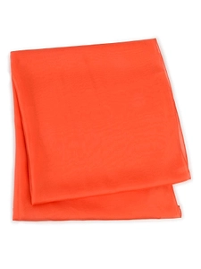 Raquel Diniz Sheer Scarf
