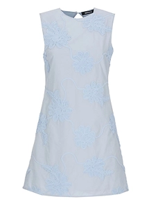 Floral Embroidered Mini Dress