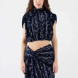 Sequined Velvet Crop Top