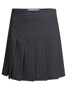 Pleated Mini Skirt