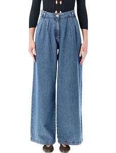 Diegui Pleated Wide-Leg Jeans