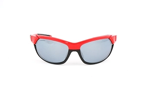 Smith Optics Overdriven Sunglasses