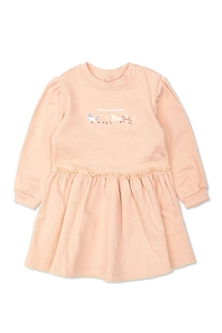 Embroidered Long-Sleeved Dress